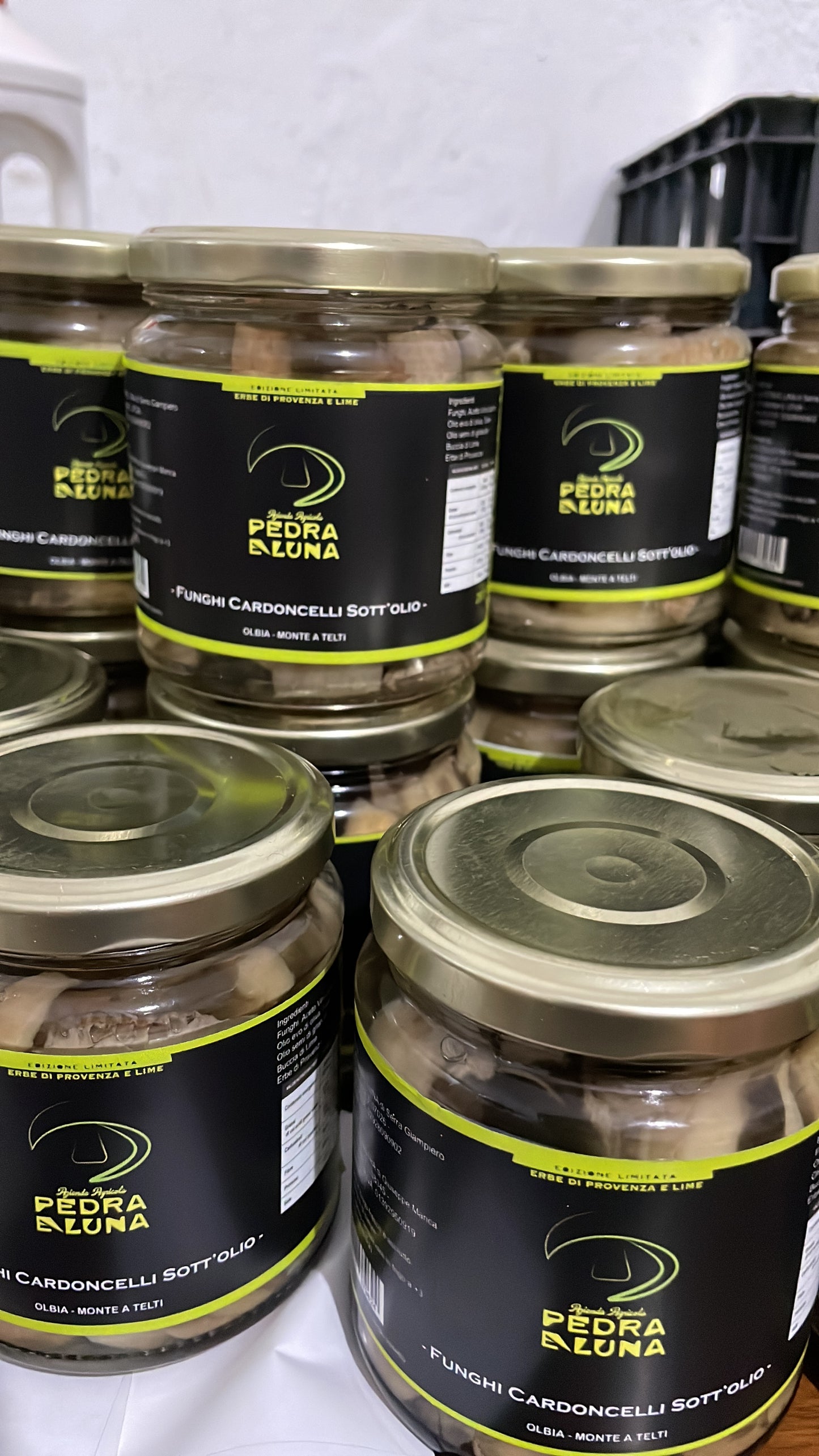 Funghi Cardoncelli sott’olio Pedra e Luna